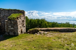 Brahehus