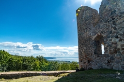 Brahehus