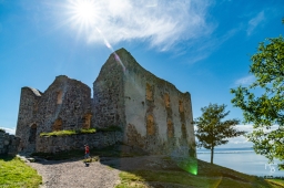 Brahehus