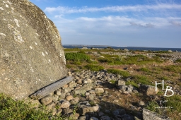 Näsbokrok